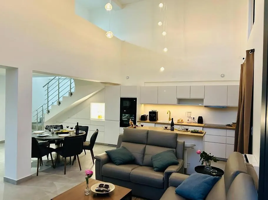 Cathedral Ceiling W Home Theater, Grande Terrace, Garden And Parking Antony